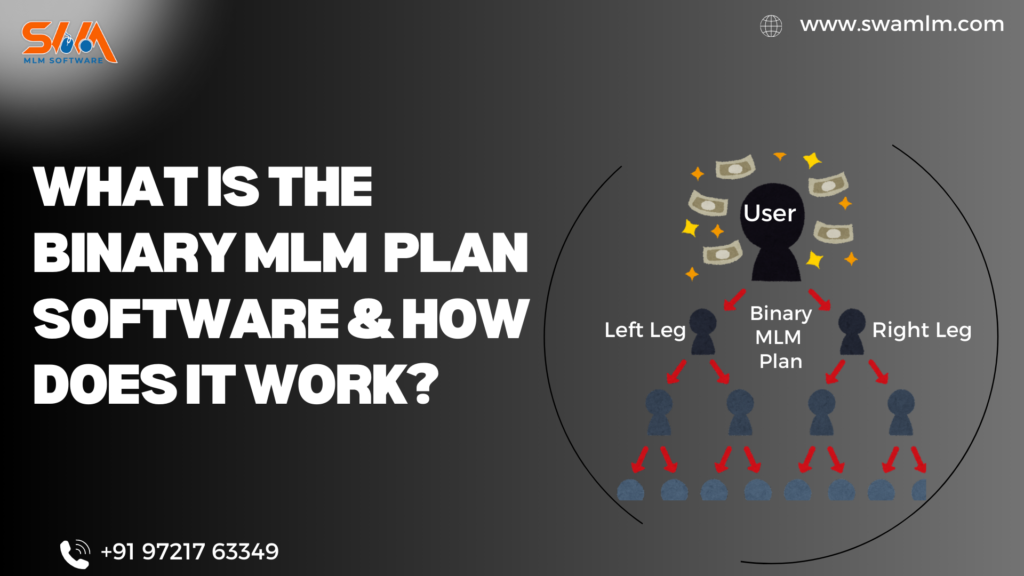 How Binary MLM Plan Works