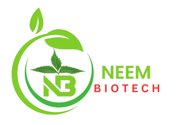 LOGO_1755928285